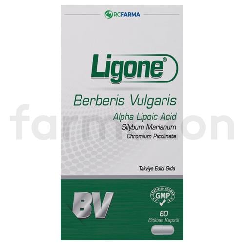 Ligone Berberis Vulgaris 60 Kapsül